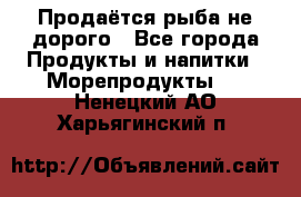 Продаётся рыба не дорого - Все города Продукты и напитки » Морепродукты   . Ненецкий АО,Харьягинский п.